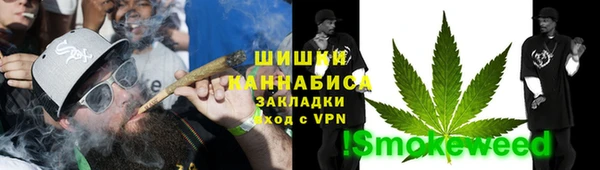 сатива Арсеньев