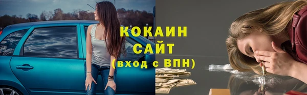 сатива Арсеньев