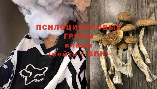 молекула духа Аркадак