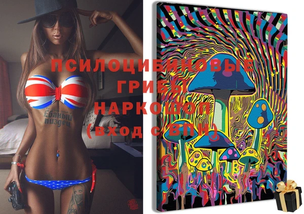сатива Арсеньев