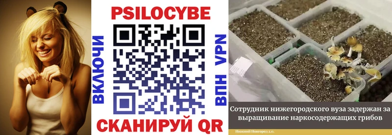 Псилоцибиновые грибы Magic Shrooms  Волхов 